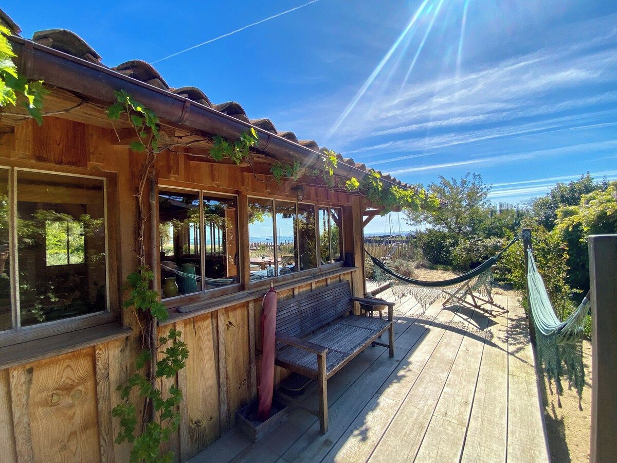 Una terraza de madera con un banco y una hamaca, con vistas a un paisaje de árboles y el cielo.