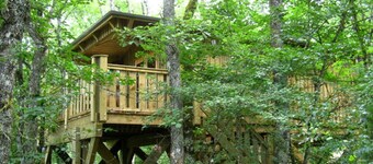 Cabane Perchée Jurassic, Unique en France, Atypique, Insolite!