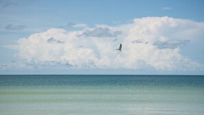 Blick auf einen Strand, mit einem fliegenden Vogel über dem Wasser und Wolken am Himmel.