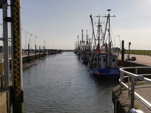 Puerto deportivo