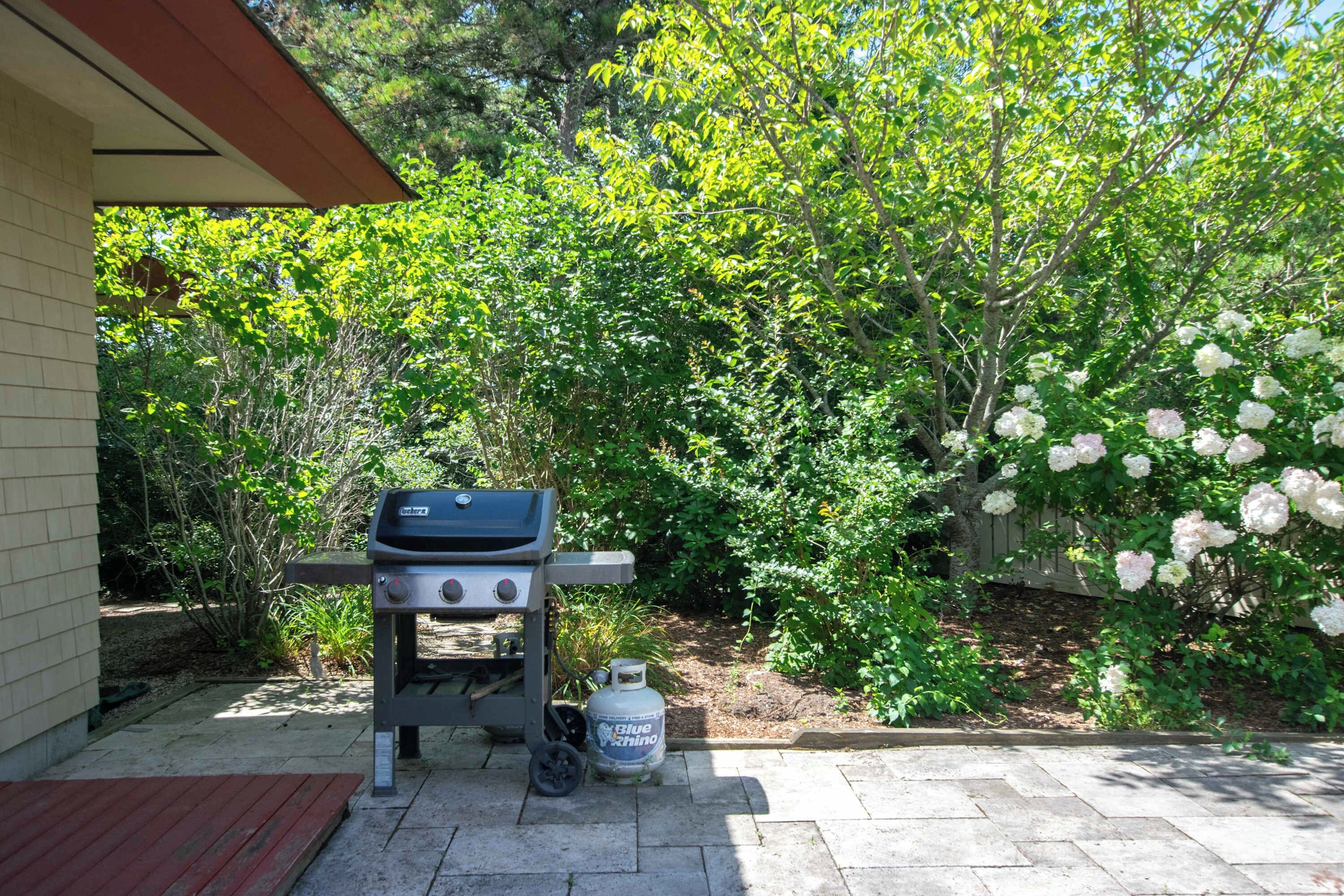 Una parrilla para barbacoa con tanque de propano en un jardín con árboles y arbustos.
