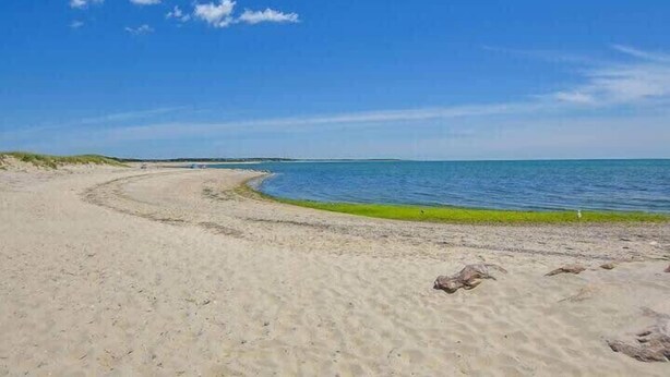 Beach nearby - Roof Deck, Walk to Forest Beach, Fire Pit! (Chatham)