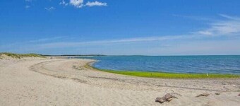 Roof Deck, Walk to Forest Beach, Fire Pit!