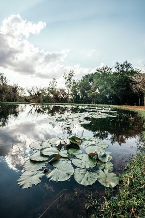 Property grounds - FARMHOUSE58 (Krugersdorp)