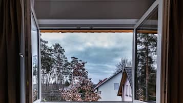Dobbeltværelse med dobbeltseng eller 2 enkeltsenge | Udsigt fra værelset