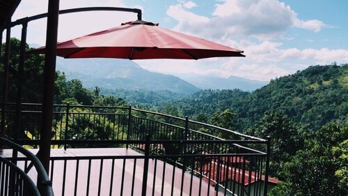 The Springfields Kandy