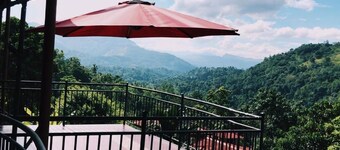 The Springfields Kandy