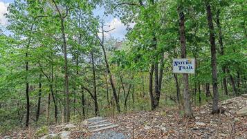 A nature trail sign in a forested area with a stone path.