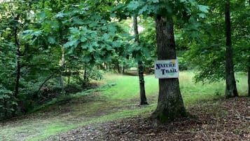 Un panneau indiquant le début d’un sentier de randonnée dans une zone boisée.