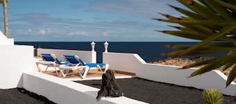 Delmar Natur - Morena