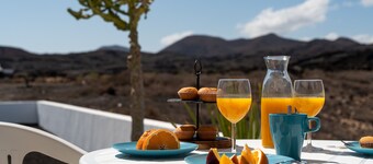 Delmar Natur - Gallo