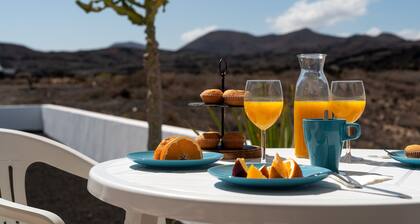 Delmar Natur - Gallo