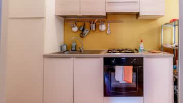 Standard Apartment | Private kitchen | Full-size fridge, stovetop, cookware/dishes/utensils, cleaning supplies