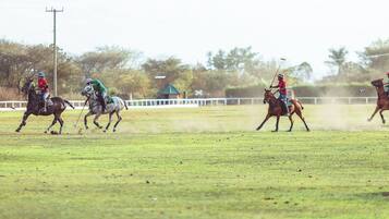 A horse race with jockeys on horses.