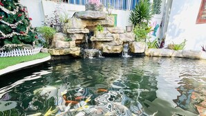 Un estanque de peces koi con una cascada y abundante vegetación.