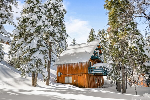 Exterior - Newly Renovated Ski Chalet nestled in the woods NEXT to Bear Mountain Slopes! (Big Bear)