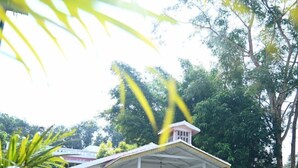 A white building with a porch, surrounded by potted plants and trees. - Rosewood Resort (Bichhiya)