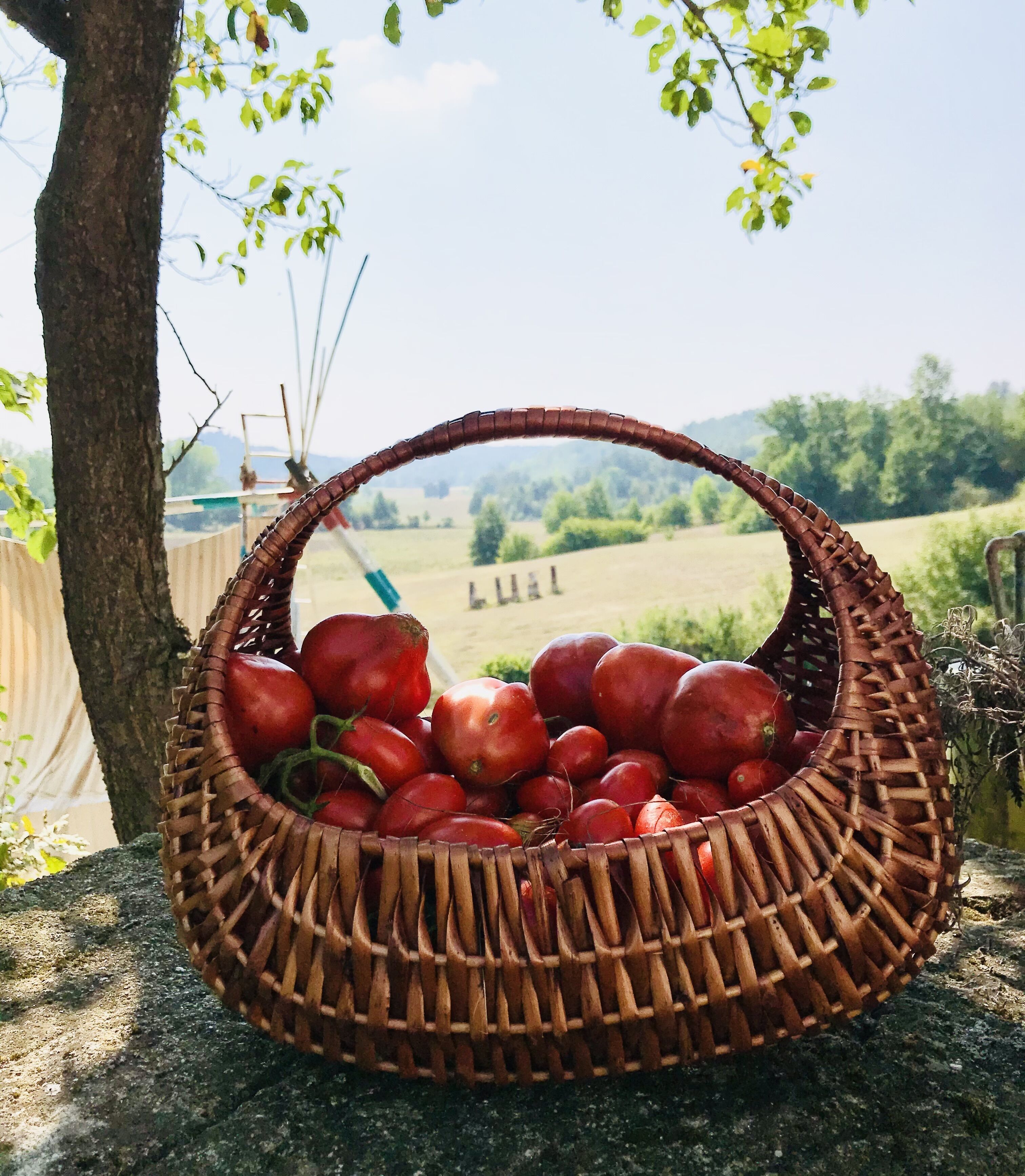 Een rieten mand gevuld met rode appels op een stenen oppervlak.