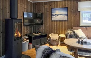 Televisión y chimenea 