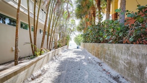 A narrow pathway flanked by palm trees and a concrete wall, leading to a building with balconies. - Steps to Shore: Modern Redington Beach Townhome (Redington Beach)