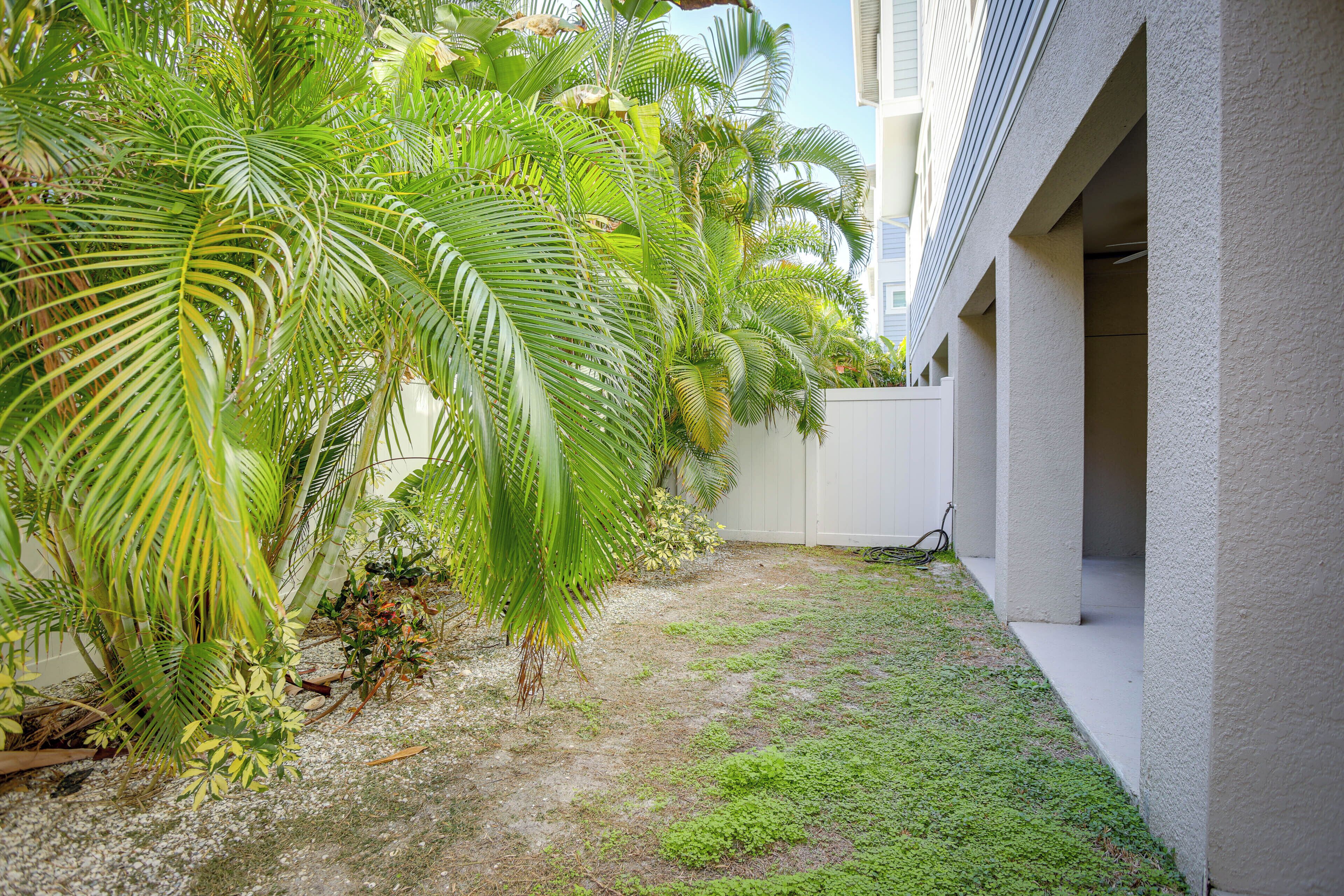 A small, enclosed outdoor area with a white wall and a concrete floor, surrounded by lush green palm trees and small plants.