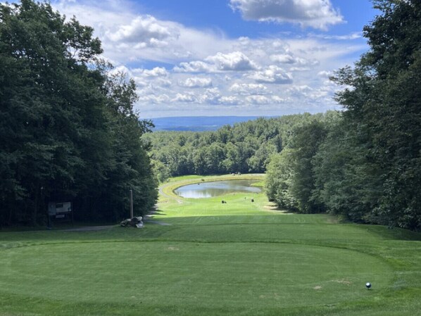Ein Golfplatz mit Teich, umgeben von dichten Bäumen und blauem Himmel.