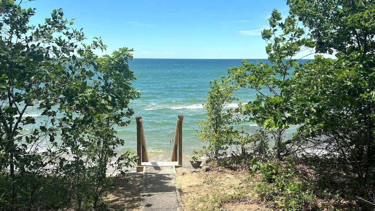 Uma trilha de praia que leva ao oceano, com árvores emoldurando a paisagem.