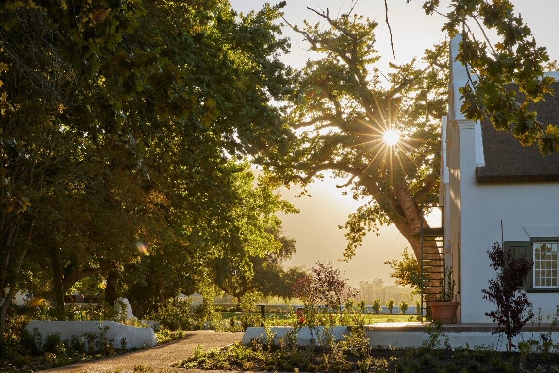 A pathway leading to a white building with a large tree in the foreground.