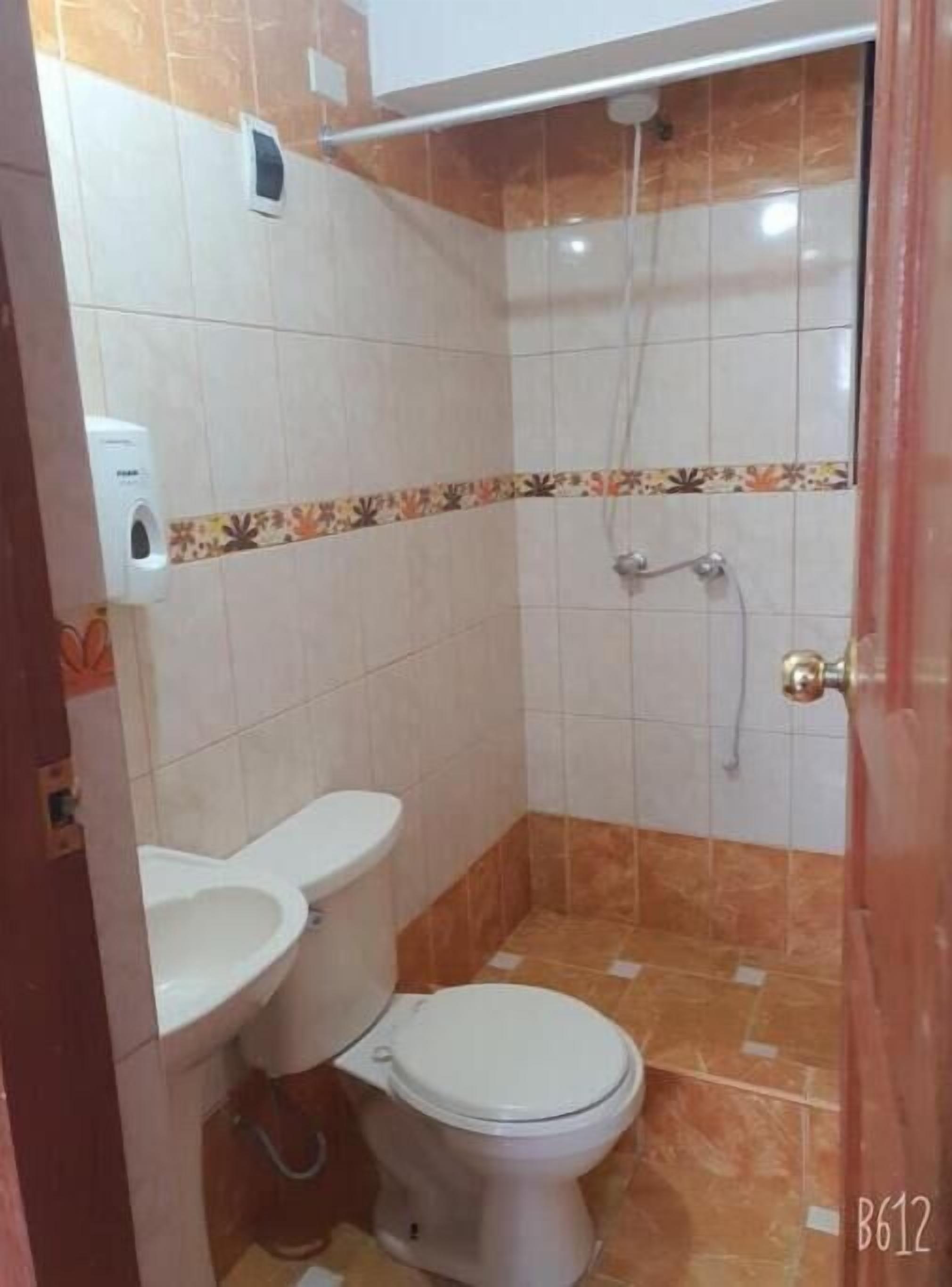 A small bathroom with a toilet, a sink, and a shower.
