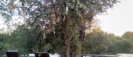 Alberca al aire libre por temporada 