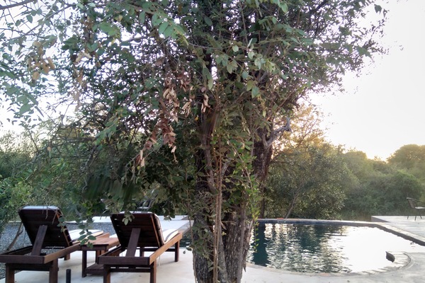 Alberca al aire libre por temporada y camastros