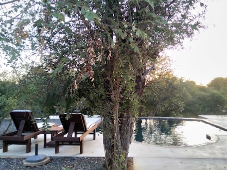Una piscina al aire libre de temporada, sillones reclinables de piscina
