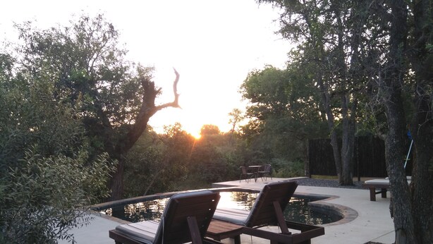 A poolside area with lounge chairs and a small pool, surrounded by trees and a wooden deck. - Leadwood Tree Safari Lodge  (Hoedspruit)