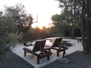 Piscine extérieure (ouverte en saison), chaises longues