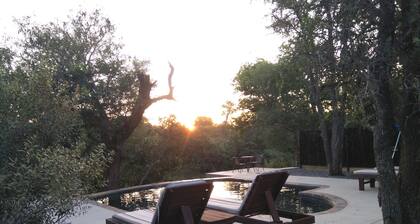 Leadwood Tree Safari Lodge