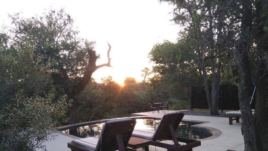 Leadwood Tree Safari Lodge