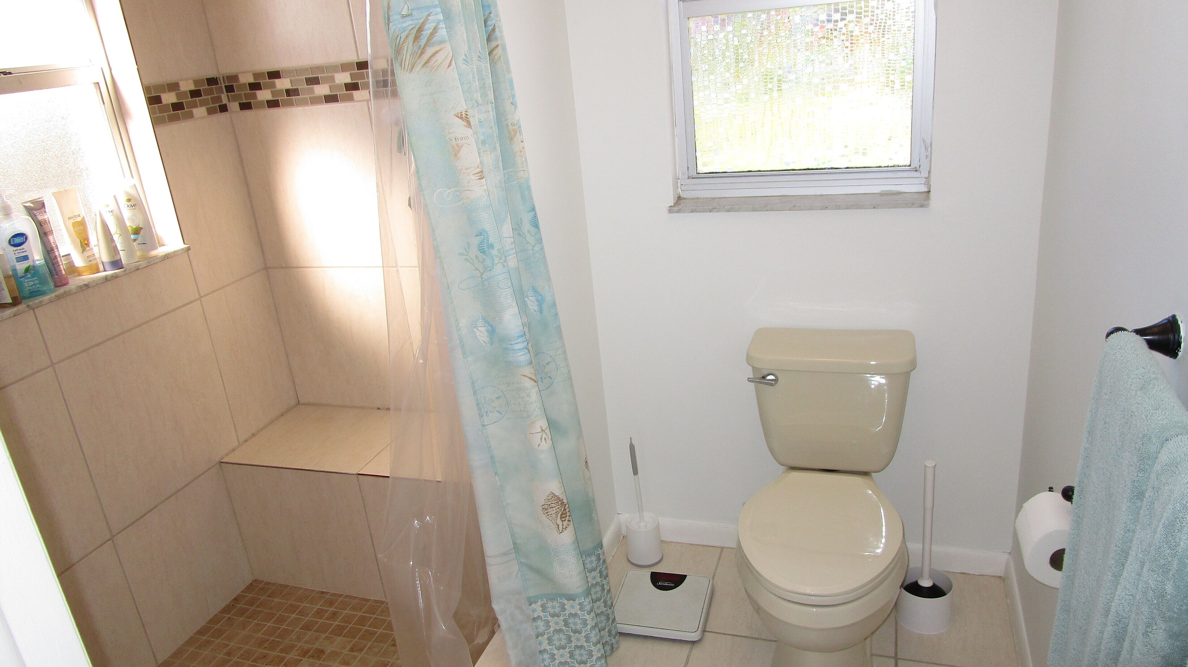 A bathroom with a toilet, a shower, and a window.