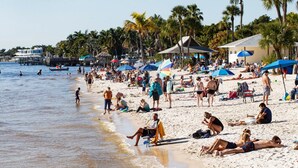 A crowded beach with people sunbathing, swimming, and walking along the shore.