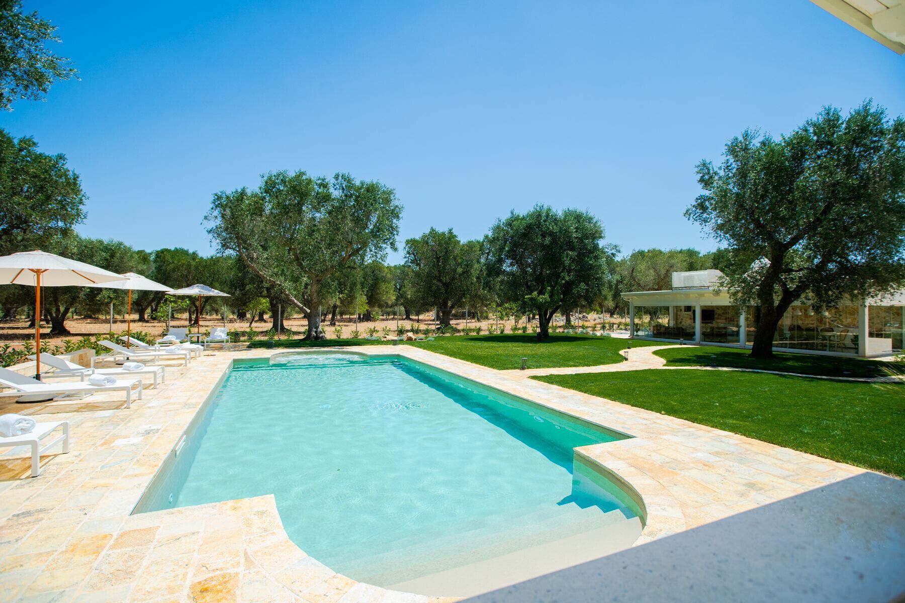 A rectangular swimming pool with a stone border, surrounded by a lawn and trees.