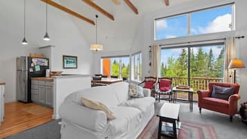 TV, fireplace, books