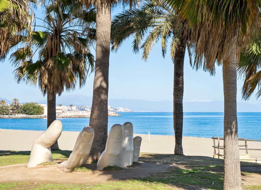 Ein Strand mit Palmen und freiem Blick auf das Meer.