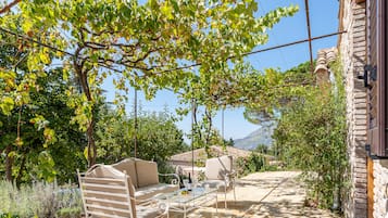 Terraza o patio