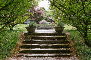 Jardim