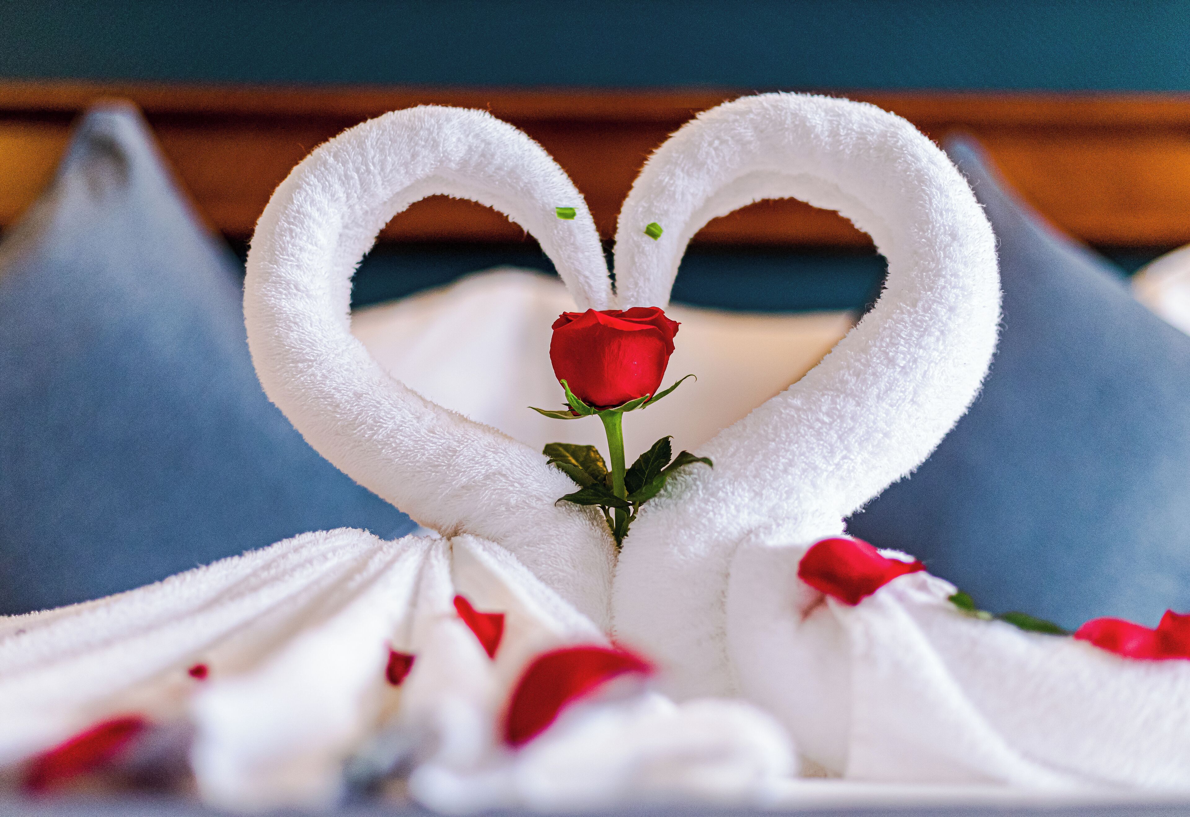 Photo - Le Vert Angkor Hotel