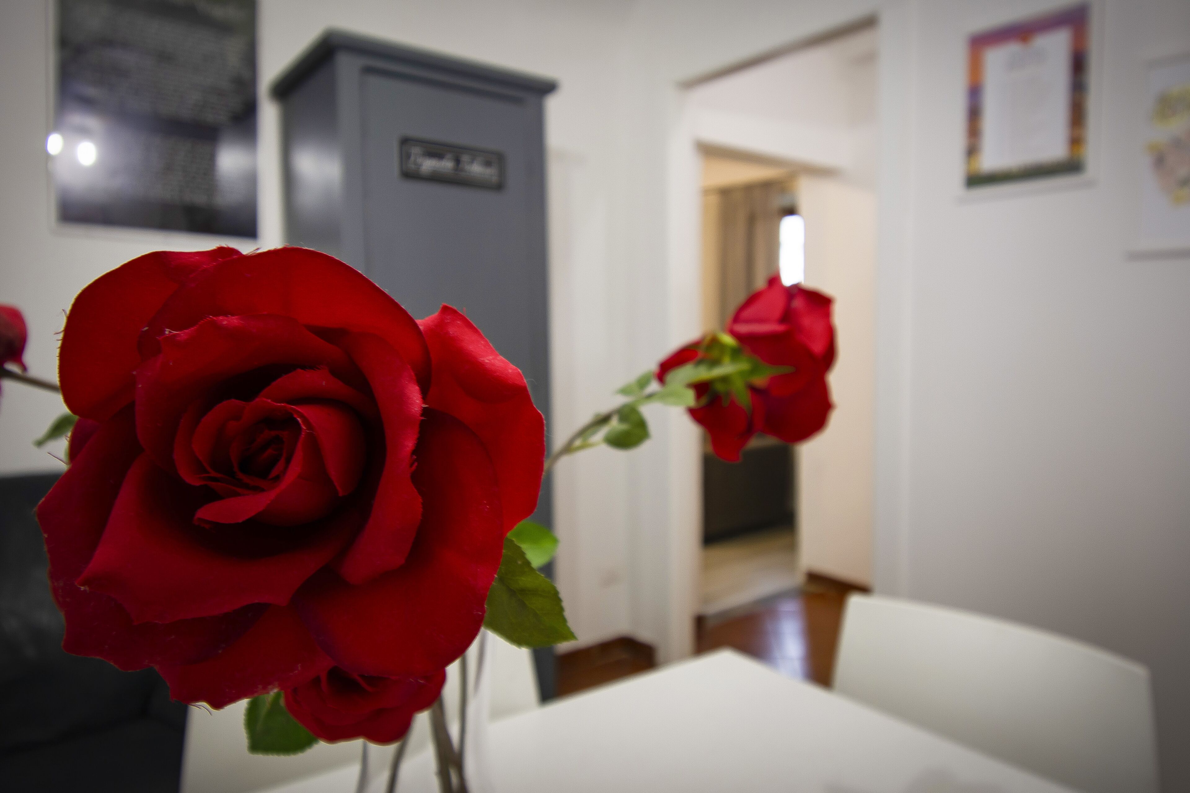 Photo - Il Vagello B&B