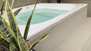 A spa area with a large bathtub and a plant.