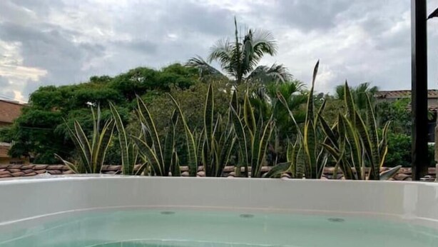 A swimming pool with clear water, surrounded by tall, slender plants and a backdrop of trees and a cloudy sky.