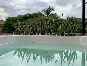 Piscina con agua cristalina, rodeada de plantas altas y delgadas, con árboles y un cielo nublado al fondo.