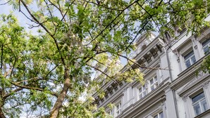 Exterior - TurnKey | National Museum Apartments (Prague)