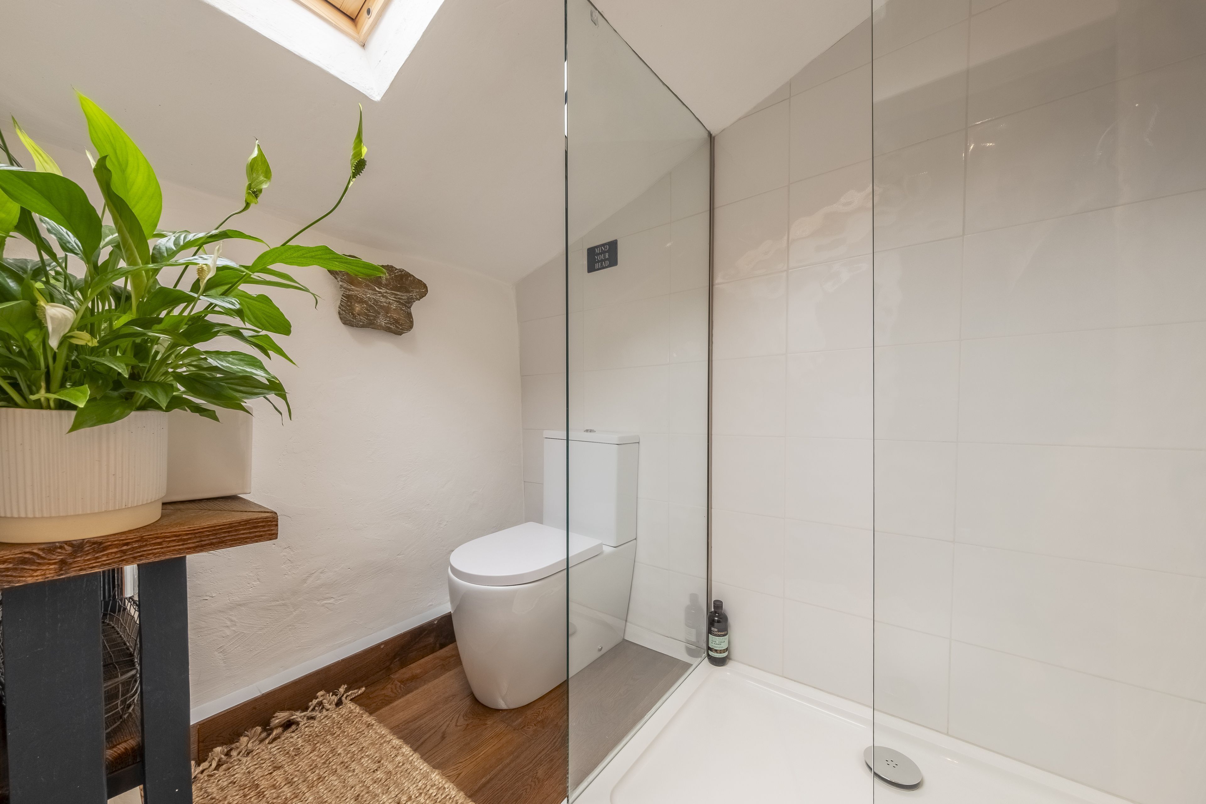 A modern bathroom with a glass shower enclosure, a toilet, and a potted plant on a wooden shelf.